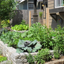 crooksgardens' ideas