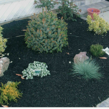 Front Yard landscaping with Belgium Block tree rings