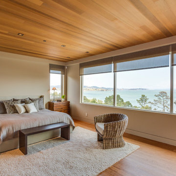 Bayside Gem, Tiburon