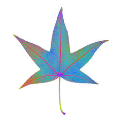 Chroma Leaf: 070 back B - Fine Art Prints