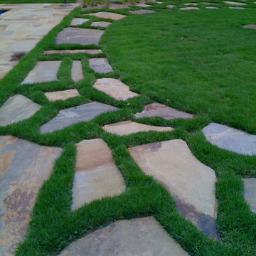 Our Work