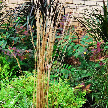 Textural and Colorful Plantings