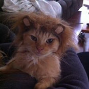 Tammy Pryor's photo