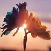 Leslie Guppy's photo