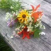 Danielle Fouillard's photo