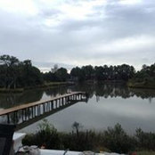 Betsy Forrest's photo
