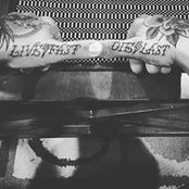 Cam Adams's photo