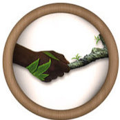 SIDIBE ABDOULAYE's photo
