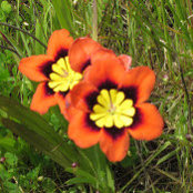 Tara DeRosa's photo