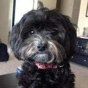 Denaye Barahona's photo