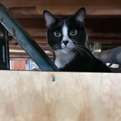 Michael Brancieri's photo