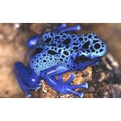 Kathryn Schummer's photo