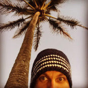 David Didlocks foto
