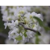 Erin Tart's photo