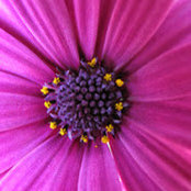 Rita Long's photo