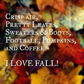 Wendy Falk's photo