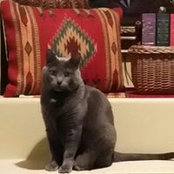 Ronda Illig's photo