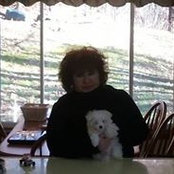 Debbie Conti Hephner's photo