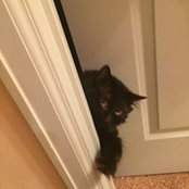 Sonni Jackson's photo
