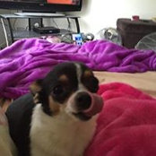 Marie Kilpatrick's photo