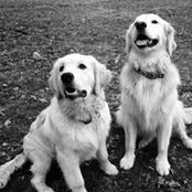 Janet O'Shea's photo