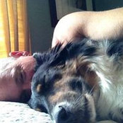 Brian O'Donnell's photo