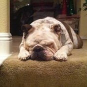 Patrick Holly Lavely's photo