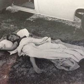Foto de Sandy Patterson
