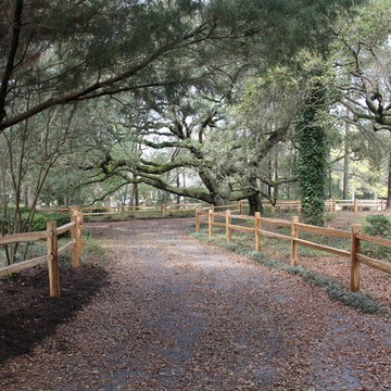 Cedar Split Rail Fence