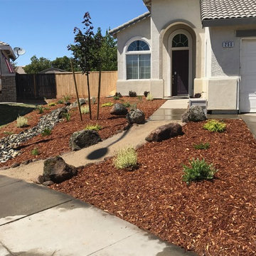 Front yard turf removal and drought tolerant install
