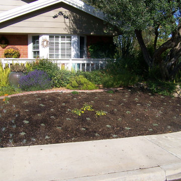Lawn Replacement Thousand Oaks