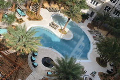 Pool - modern pool idea in Orlando