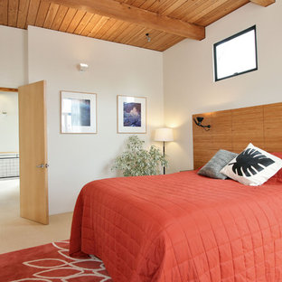 Modelo de dormitorio minimalista con paredes blancas