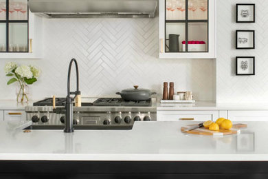 Inspiration for a scandinavian kitchen remodel in Denver