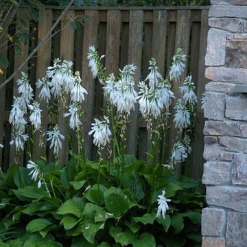 Courtyard Garden