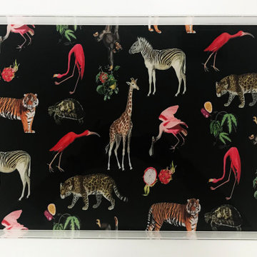 Acrylic Trays