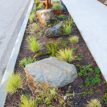 Parkway Design