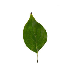 Fine Art suitable for framing - Products