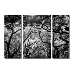 Triptych Wall Art - Products