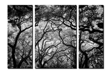Triptych Wall Art