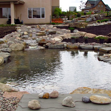 Backyard Projects