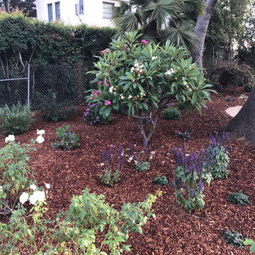 Landscape and Mulch Installations