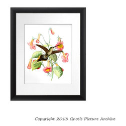 Hummingbird wall decor art prints - Products