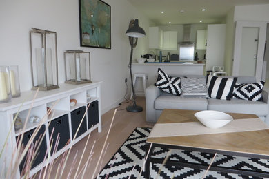 This is an example of an industrial living room in Other.