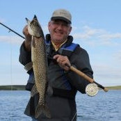 Les Cline's photo