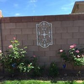 Beverly Lynch's photo