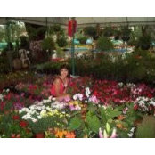 AngeLica RamiRez's photo