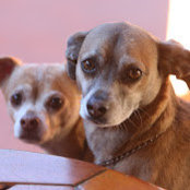 Mark Evans's photo