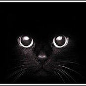 Marcus Williams's photo