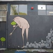 Bruno Guzzardi's photo